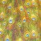 Peacock Feathers Fabric