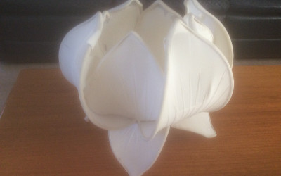 Recovering a Lotus Leaf Lampshade – It’s all in the Outlook