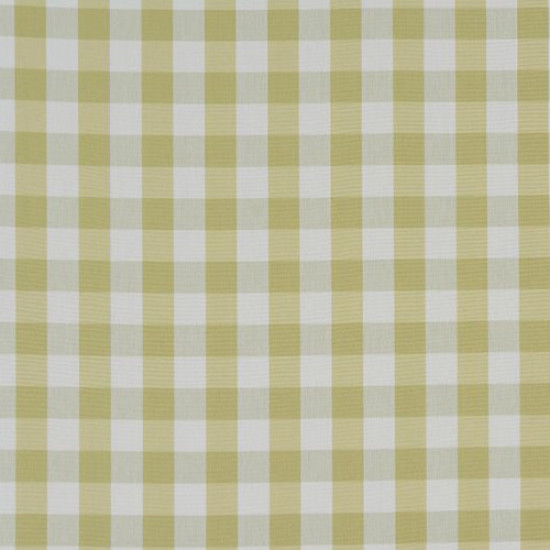 Pampas Green Gingham Check Swatch
