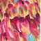 Hot Pink Feather Fabric