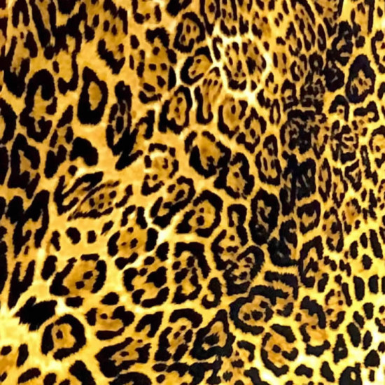 Leopard Swatch