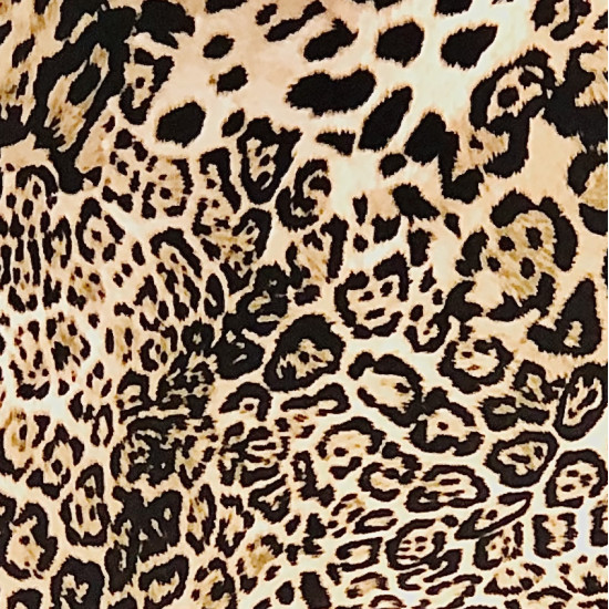 Lynx Animal Swatch