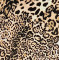 Lynx Animal Swatch