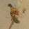 Animals / Insects
