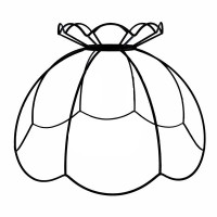 Crown Dome 