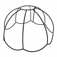 Dome 