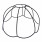 Dome